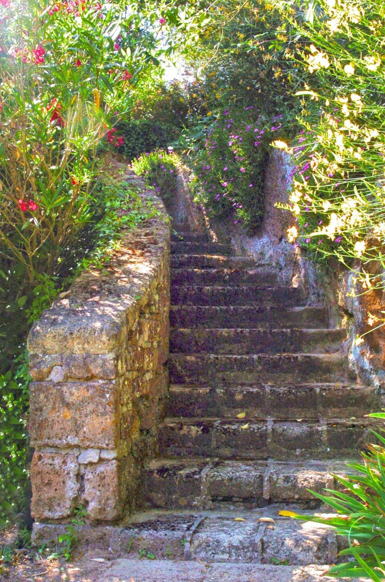 Villa Montecasciano Primula Capranica Esterno foto
