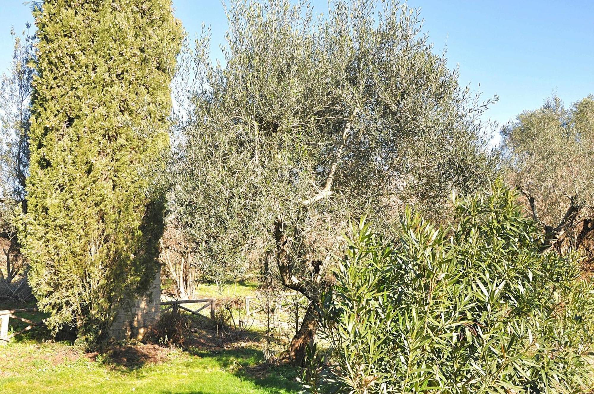 Villa Montecasciano Primula Capranica Esterno foto