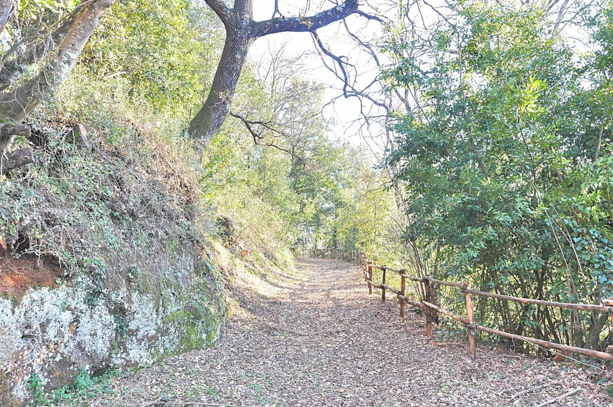 Villa Montecasciano Primula Capranica Esterno foto